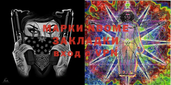 шишки Пестово
