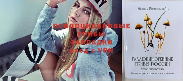 шишки Пестово