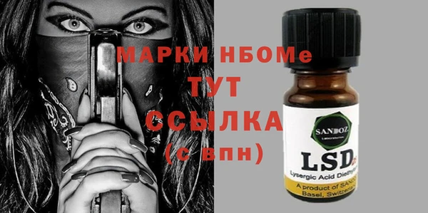 шишки Пестово