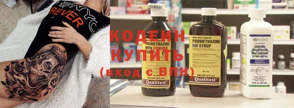 шишки Пестово