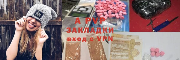 ПСИЛОЦИБИНОВЫЕ ГРИБЫ Переславль-Залесский