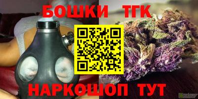 амф Заволжье