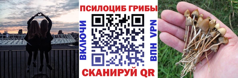 Галлюциногенные грибы мицелий  наркошоп  KRAKEN ONION  Кингисепп 