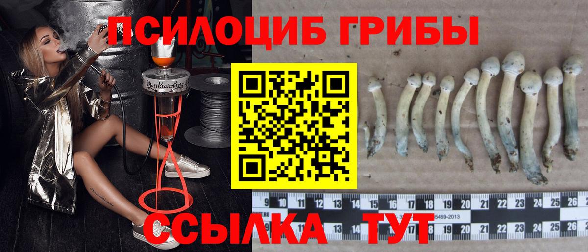 Псилоцибиновые грибы прущие грибы Кингисепп