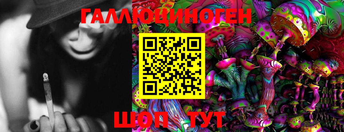 Псилоцибиновые грибы мухоморы Кингисепп