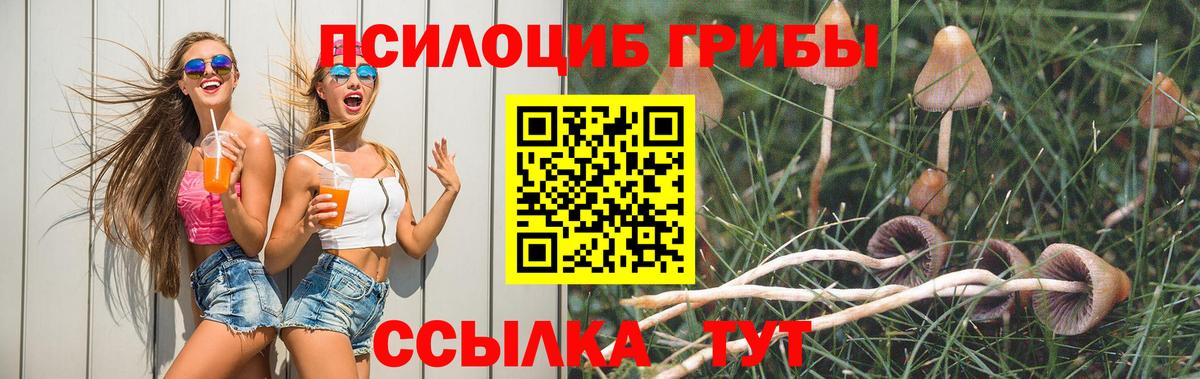 Галлюциногенные грибы мухоморы  Псилоцибиновые грибы Psilocybe  Кингисепп 