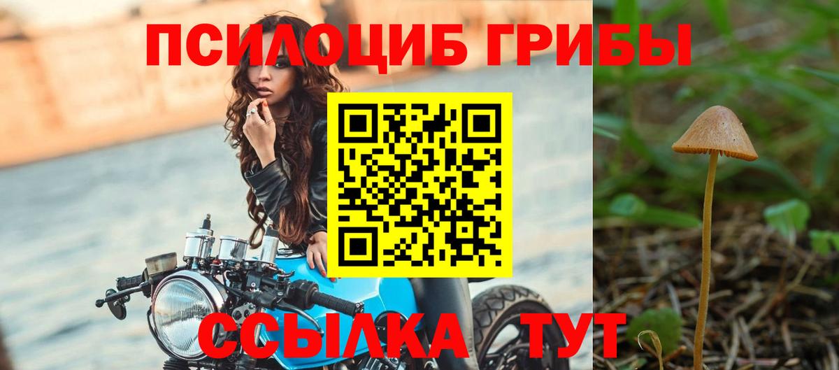 даркнет сайт  Псилоцибиновые грибы GOLDEN TEACHER  Кингисепп  Вход с VPN  Псилоцибиновые грибы ЛСД 