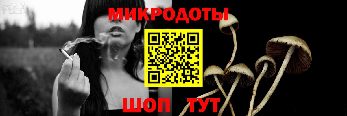 Псилоцибиновые грибы Кингисепп