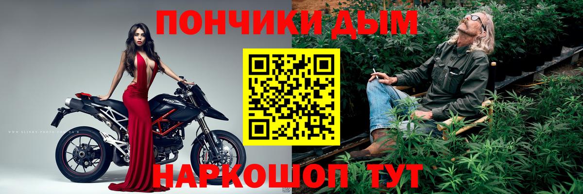 Конопля AK-47  Конопля AK-47  Кингисепп  Конопля AK-47  Конопля AK-47  Конопля AK-47 